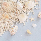 Candle Decorations Sea Shells 500g